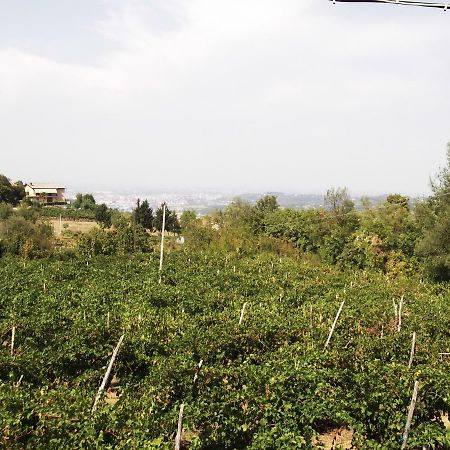 La Panoramica Villa Perarolo Екстериор снимка
